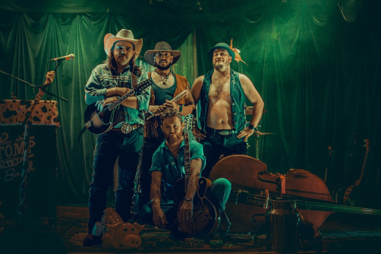 The Swamp Stomp Stringband promotional photo