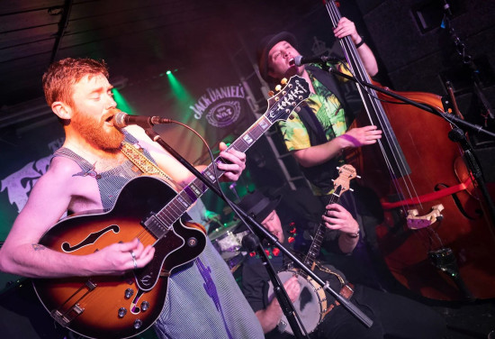 The Swamp Stomp Stringband promotional photo